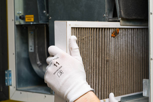 Best Air Duct Cleaning Near Me  in Dilkon, AZ