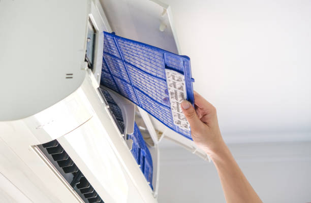 Best Professional Duct Cleaning Services  in Dilkon, AZ