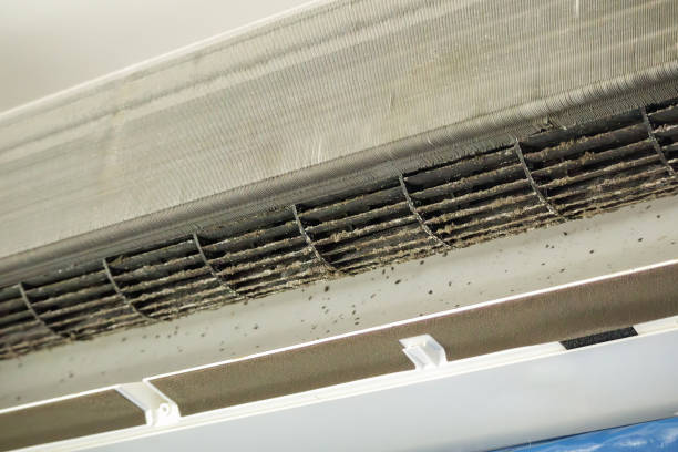Best Air Duct Cleaning Cost  in Dilkon, AZ